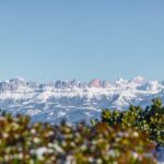 Catinaccio, Rosengarten, Rosengartengruppe, Winter, inverno, weiße Jahreszeit, winter