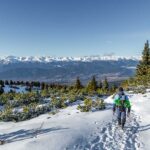 Ortler-Alpen, Reatberg, Schneeschuhwandern, Seejopf, Ultner Hochwart, Winter, Winterwandern, inverno, weiße Jahreszeit, winter