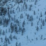 Parco Naturale Paneveggio Pale di San Martino, Val Venegia