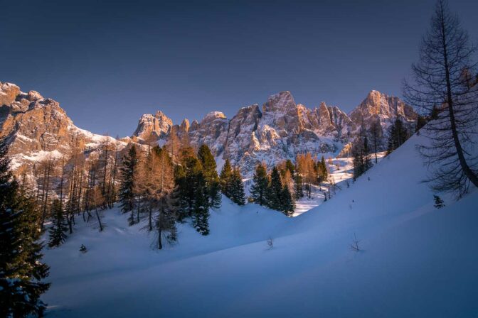 Blick auf die Pale di San Martino