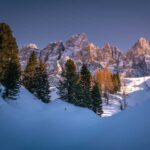 Palagruppe, Pale, Pale di San Martino