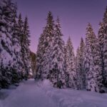 Schnee, Val Venegia, Winter, Wintertraum, inverno, weiße Jahreszeit, winter