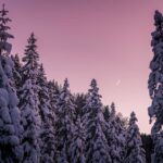 Schnee, Val Venegia, Winter, Wintertraum, inverno, weiße Jahreszeit, winter