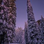 Schnee, Val Venegia, Winter, Wintertraum, inverno, weiße Jahreszeit, winter