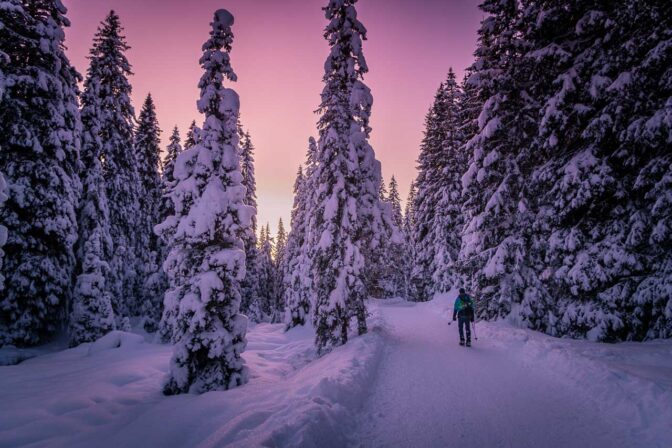 Ein Wintertraum in rosa