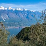 Gardameer, Gardasee, Gardaseeberge, Lago di Garda, Olive, Oliven