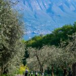 Gardameer, Gardasee, Gardaseeberge, Lago di Garda, Olive, Oliven, Promenade