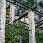 Citrus, Limonaia, Limone, Limone al Garda, Limone sul Garda, Zitrone, Zitronenbaum