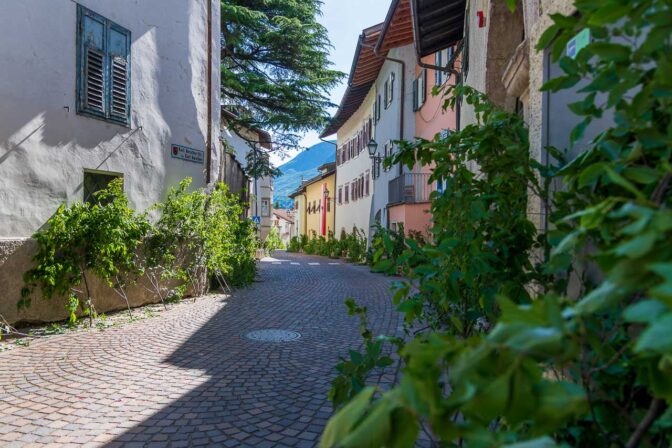 Staudenschmuck in der Karl-Anrather-Straße von Margreid