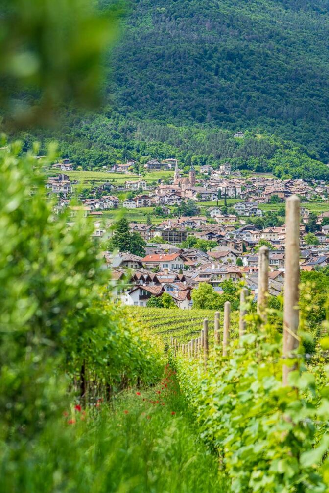 Kaltern, Fraktion St. Nikolaus mit der Kirche mit den zwei Türmen