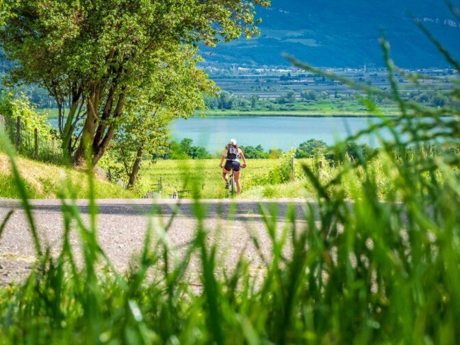 Was für ein herrlicher Radweg. Radeln mit Kalterer See Blick!