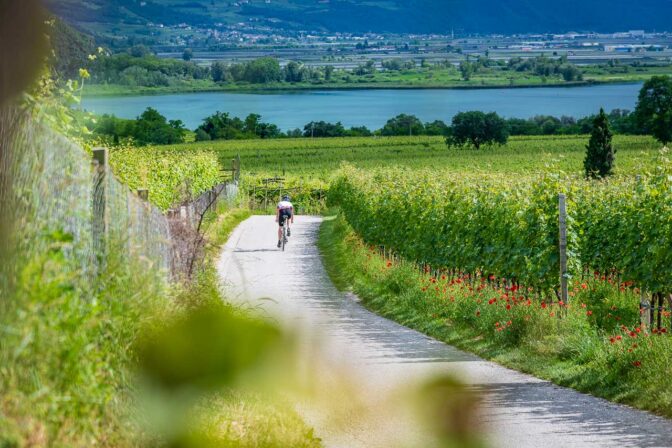 Auf dem Rennrad mit Schwung zum Kalterer See