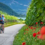 Bike, Kalterer See, Kalterersee, Rad fahren