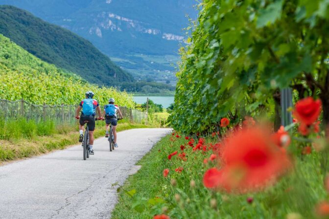 Radfahrer am Kalterer See Radweg