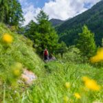 Neuwaal, Schlandrauntal, Waalweg, wandern