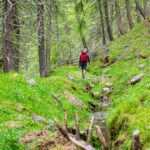 Forrawaal, Schlandrauntal, Waalweg, wandern