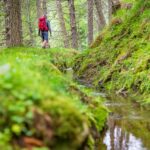 Forrawaal, Schlandrauntal, Waalweg, wandern