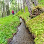 Forrawaal, Schlandrauntal, Waalweg, wandern