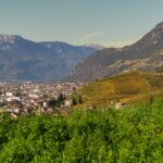 Bolzano, Bozen, Herbst, Landeshauptstadt Südtirol, St. Magdalena, Weinwanderweg, Weinwanderweg Rebe, autumn, autunno