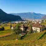 Bolzano, Bozen, Herbst, Landeshauptstadt Südtirol, St. Magdalena, Weinwanderweg, Weinwanderweg Rebe, autumn, autunno