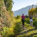 Herbst, Weinwanderweg, Weinwanderweg Rebe, autumn, autunno, passeggiare, spazieren, spazieren gehen, wandern