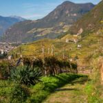 Bolzano, Bozen, Herbst, Landeshauptstadt Südtirol, St. Magdalena, Weinwanderweg, Weinwanderweg Rebe, autumn, autunno