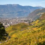 Bolzano, Bozen, Herbst, Landeshauptstadt Südtirol, St. Magdalena, Weinwanderweg, Weinwanderweg Rebe, autumn, autunno