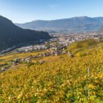 Bolzano, Bozen, Herbst, Landeshauptstadt Südtirol, St. Magdalena, Weinwanderweg, Weinwanderweg Rebe, autumn, autunno