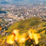 Bolzano, Bozen, Herbst, Landeshauptstadt Südtirol, St. Magdalena, Weinwanderweg, Weinwanderweg Rebe, autumn, autunno