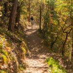 Herbst, Weinwanderweg, Weinwanderweg Rebe, autumn, autunno, laufen