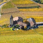 St. Justina, Weinberg, Weinberge, Weinwanderweg Rebe, vigna, vigneto, vineyard