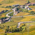 Rentsch, Weinberg, Weinberge, Weinwanderweg, vigna, vigneto, vineyard