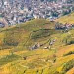 Bolzano, Bozen, Landeshauptstadt Südtirol, St. Magdalena, Weinberg, Weinberge, Weinwanderweg, vigna, vigneto, vineyard