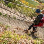 Anna, Herbst, Weinwanderweg, Weinwanderweg Rebe, autumn, autunno, wandern