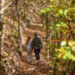 Herbst, Weinwanderweg, Weinwanderweg Rebe, autumn, autunno, wandern