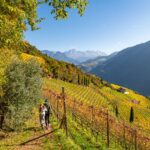 Herbst, Weinberg, Weinberge, Weinwanderweg, Weinwanderweg Rebe, autumn, autunno, vigna, vigneto, vineyard, wandern