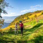 Herbst, Weinberg, Weinberge, Weinwanderweg, Weinwanderweg Rebe, autumn, autunno, passeggiare, spazieren, spazieren gehen, vigna, vigneto, vineyard, wandern