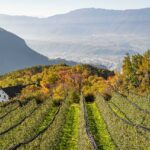 Bolzano, Bozen, Landeshauptstadt Südtirol, Signat