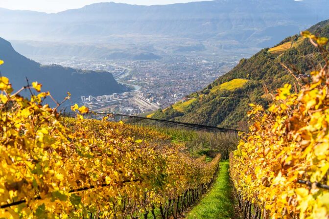 Blick von Signat auf die Südtiroler Landeshauptstadt Bozen