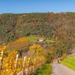 Bolzano, Bozen, Herbst, Landeshauptstadt Südtirol, Signat, autumn, autunno