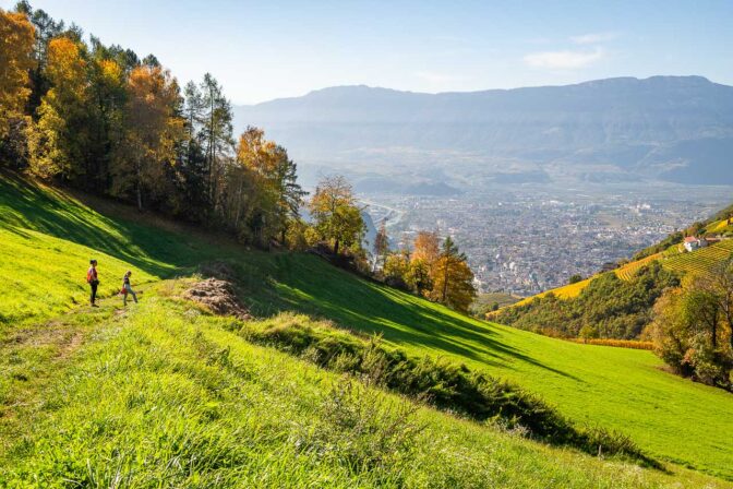 Zwischen Signat und Lossmannhof ein herrlicher Blick hinunter nach Bozen.