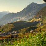 Bolzano, Bozen, Herbst, Landeshauptstadt Südtirol, St. Magdalena, Weinberge, autumn, autunno